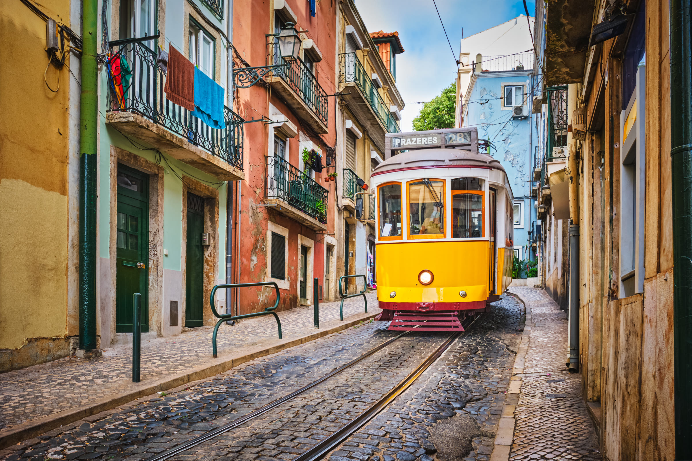 Tranvia en una calle empedrada, presencia local de Wallaby